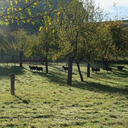 Ferienwohnung Am Walde Rauda Εξωτερικό φωτογραφία